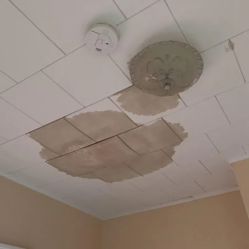 Ceiling Water Damage Repair in Conehatta, MS