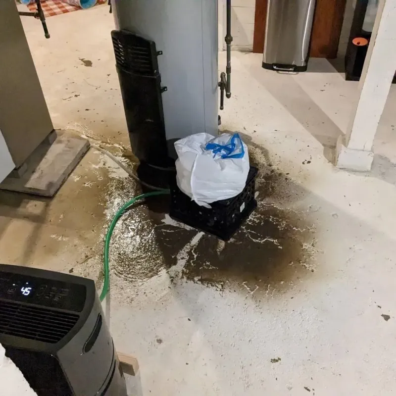 Sewage Backup Cleanup Service in Conehatta, MS